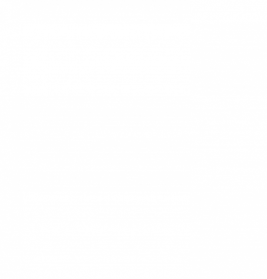 Foxtel Asset Management